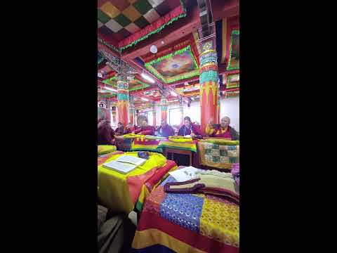 Видео: Сахюусан.Часум.Далга 26.11.2024 🕙 10:00