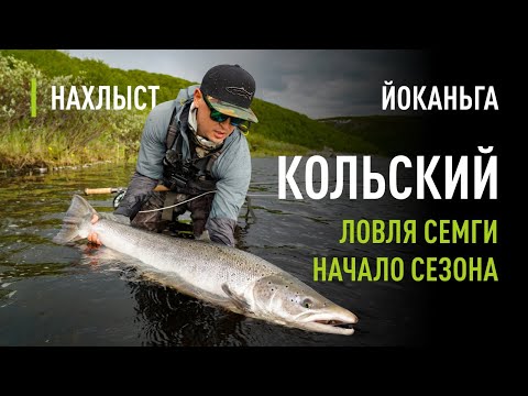 Видео: Ловля СЕМГИ в начале сезона р. ЙОКАНЬГА. Лососи по 15кг. Снасть, мушки, поиск рыбы, тактика ловли.