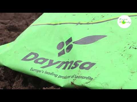 Видео: Подготовка грунта 15-12-2017