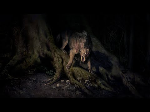 Видео: Гвинт. Медвежий гамбит