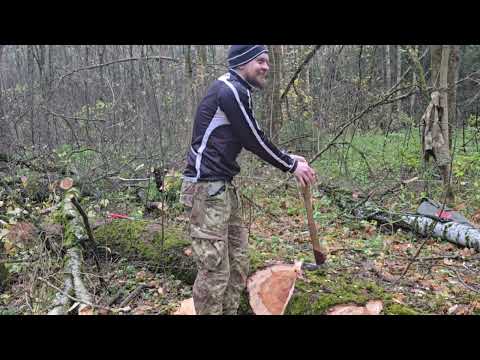 Видео: 19 10 25 ПОРУБАС