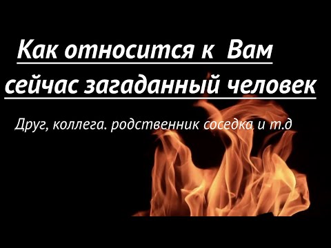 Видео: Как относится к Вам сейчас любой загаданный человек🔮Гадание на Таро он-лайн @TianaTarot