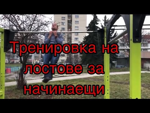 Видео: Тренировка на лостове за начинаещи