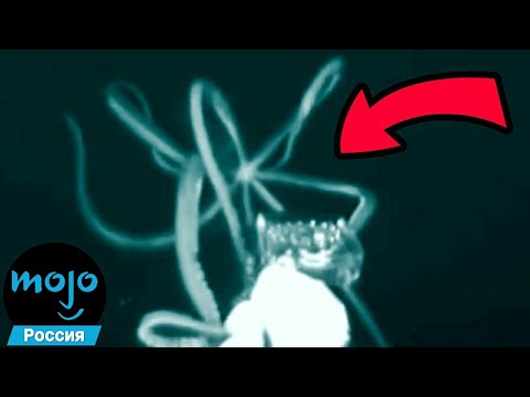 Видео: ТОП 10 Подводных Фактов, После Которых Вы Не Захотите Купаться