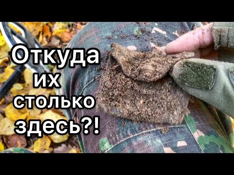 Видео: Странное место. Куча кошельков на лесной дороге! Откуда их столько здесь?!