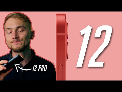 Видео: Стоит ли покупать iPhone 12? Что изменилось по сравнению с iPhone 11? Обзор iPhone 12!