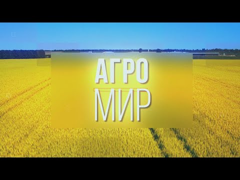 Видео: Есть женщины в наших селеньях...