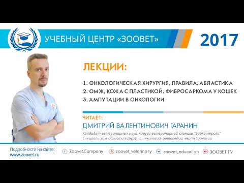 Видео: Гаранин Д. В. в УЦ «Зоовет» | Онкологическая хирургия, ч.2