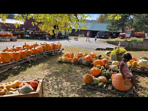 Видео: 🇺🇲Прекрасная маленькая ферма 🇺🇲🇬🇾Обязательно к просмотру🇬🇾Тихая, спокойная и райская🇬🇾🇺🇸