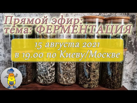 Видео: Ферментация чая, ТОП-5 вкусовых оттенков чая - итоги сезона и интересные нюансы!