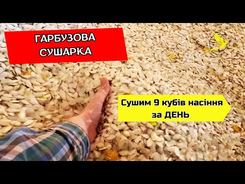 Видео: Сушка гарбузового насіння. Сушимо 9 кубів насіння за день.