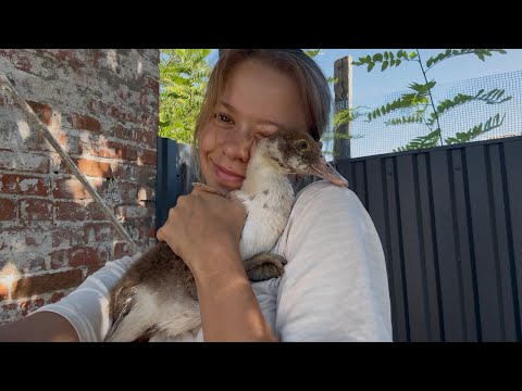 Видео: ОСТАЛИСЬ БЕЗ КРЫШИ | ЗАКРУТКИ НА ЗИМУ | ДЕЛАЕМ НАВЕС