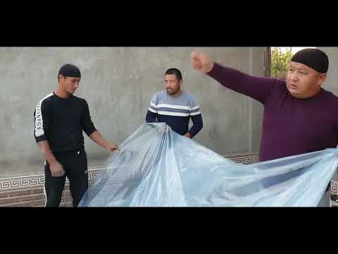 Видео: ТЕПЛИЦАГА ТЕРМИЗ КИЛИШ СИРЛАРИ /БЛОГЕР АДАШТИМИ(ОХУНОВ ТВ)