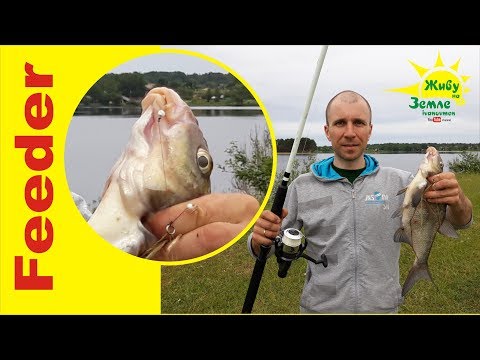 Видео: Оснащение донок на леща так, чтобы реально ловить на них рыбу.