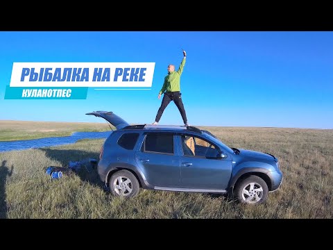 Видео: РЫБАЛКА НА ЖЕРЛИЦЫ. ЖОР ОКУНЯ. Река Куланотпес