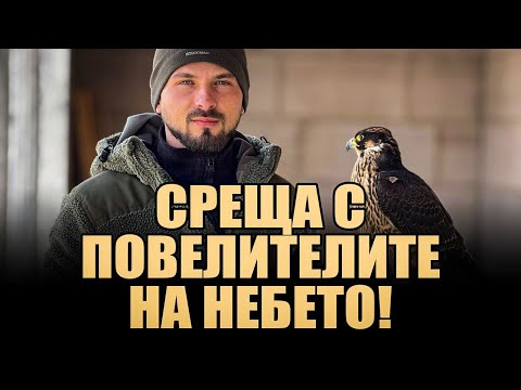 Видео: Разговор с един от най-добрите соколари в България – тайнствата на хищните птици!