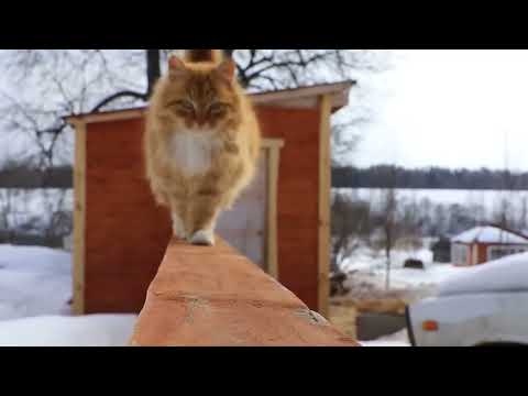 Видео: Евгений Фокин — «ПРИШЛА ВЕСНА!»