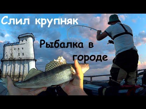 Видео: Рыбалка на джиг в городе.Судаки на Оке.