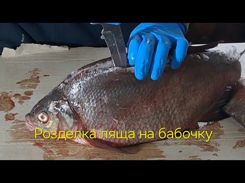 Видео: Розделка ляща на бабочку, пласт. #копченаярыба #лящ #лещ