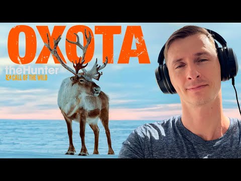 Видео: theHunter Call of the Wild Карта Альберты #3 Охота в Зимний Период.