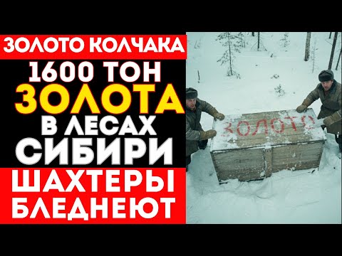 Видео: 1600 ТОН ЗОЛОТА: ШАХТЕРЫ В СИБИРИ БЫЛИ В ШОКЕ