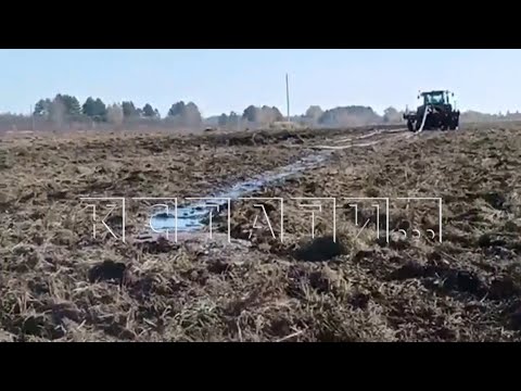 Видео: Свиньи из норвежского свинокомплекса отравили жизнь в нижегородской глубинке