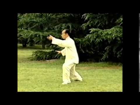 Видео: 108 форм Тайцзицюань стиль Ян, Мастер Лю Гаомин