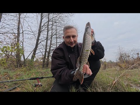 Видео: Щука на осінньому заливі Псла.