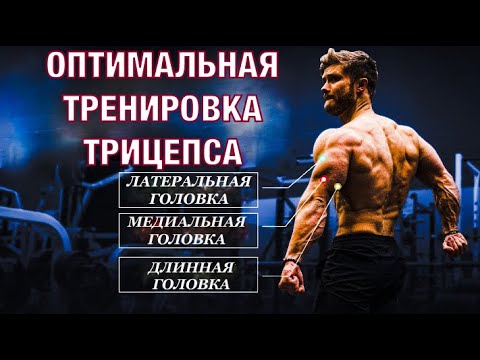 Видео: Как делать ФРАНЦУЗСКИЙ ЖИМ с идеальной техникой? | Джефф Ниппард
