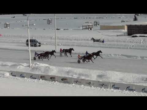 Видео: Московский ипподром. Бега. 25.02.18. Все финиши дня
