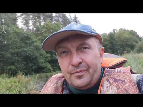 Видео: Отпуск 2020 продолжается. Река Березина. Как поймать рыбу которой нет.