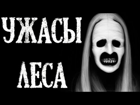 Видео: Ужасы Леса. Страшные истории про Лес (3в1)