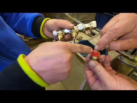 Видео: мини УЗВ у коллеги .