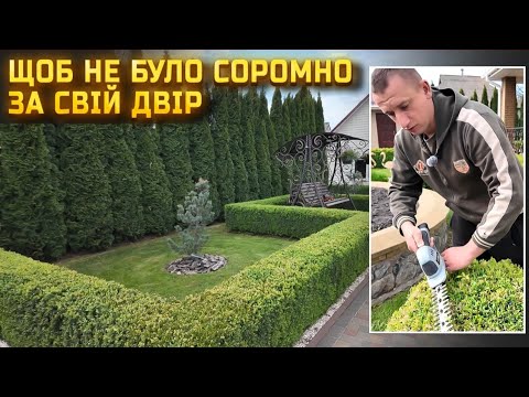 Видео: 🇺🇦 Дешева краса біля дому! Зелений паркан. Секрети догляду за Самшитом та газоном.