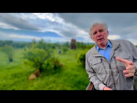 Видео: ГОЛОДНЫЕ или НЕ ГОЛОДНЫЕ? Хищники никогда не наедаются!