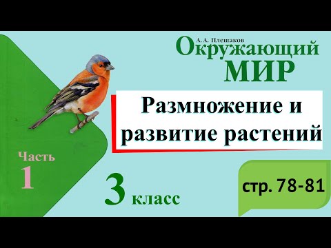 Видео: Размножение и развитие растений. Окружающий мир. 3 класс, 1 часть. Учебник А. Плешаков стр. 78-81