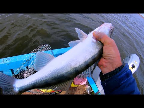 Видео: Тяжёлый джиг на 8 метрах