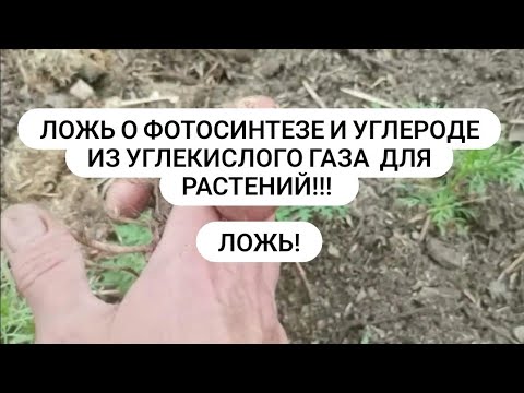 Видео: Ложь и обман о фотосинтезе и углероде из углекислого газа От чего зависит урожай