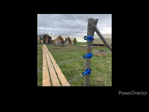 Видео: Электроизгородь от медведей - лучшее средство безопасности