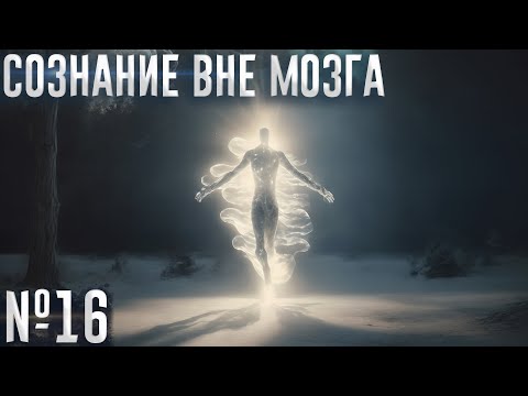 Видео: Сознание вне мозга (№16)