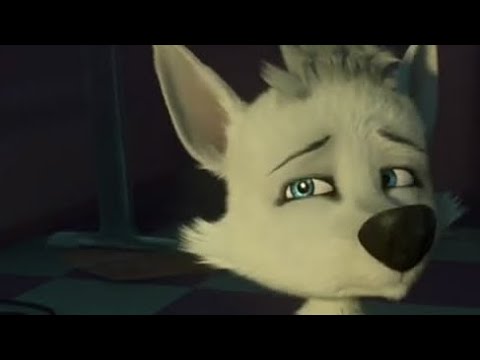 Видео: Белка и Казбек: Решила Сдаться