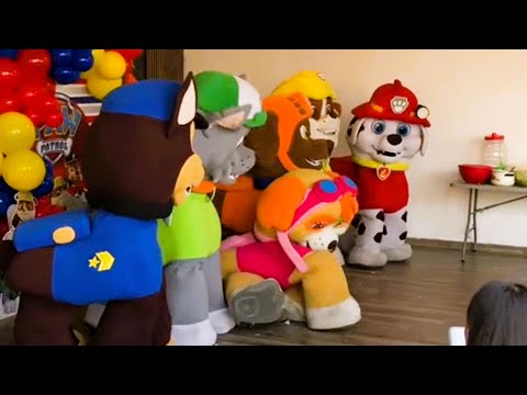 Видео: Самые смешные моменты неудач с талисманами