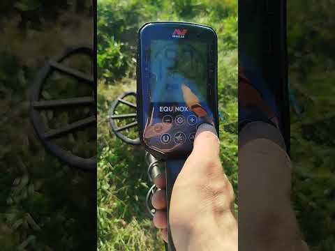 Видео: Minelab Equinox 900(тест на глубину)