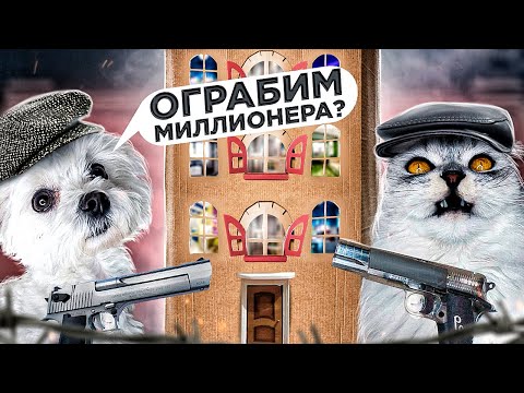 Видео: ПРОНИКЛИ В КАРТОННЫЙ ДОМ МИЛЛИОНЕРА