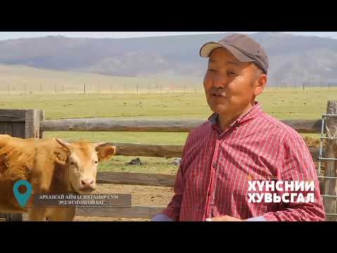 Видео: Фермер Гэрэлт