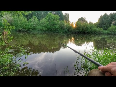 Видео: Рыбалка у дома на закате!Эта поклёвка заставила меня задуматься)