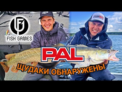 Видео: PAL 2025 - Нашли ВСЮ рыбу в ПЕРВЫЕ ДНИ? Рыбалка в Перми и подготовка к BetBoom PAL 2025