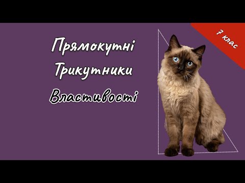 Видео: 7 клас - Властивості прямокутного трикутника