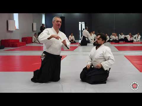 Видео: Мастер класс Айкидо - Сосновский Виктор Леонидович