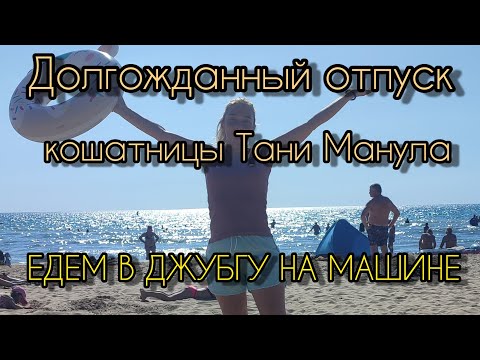 Видео: Долгожданный отпуск на море🌄🌅🏖️🚗 и конечно котики😻❤️🐈‍⬛🐈 Всем любви, добра!🙏❤️